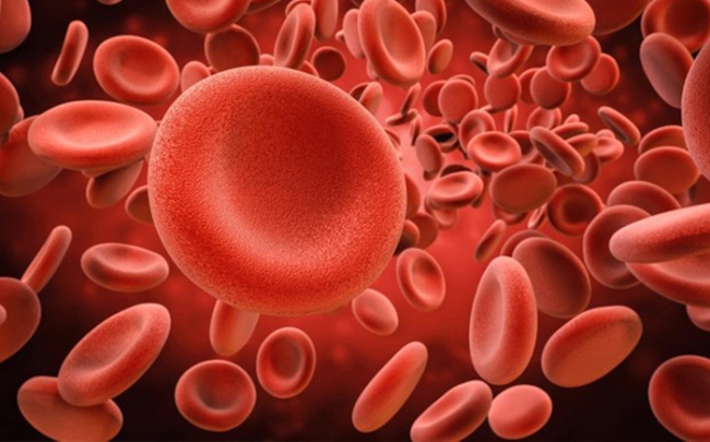 Argentina điều chế huyết thanh ngăn hội chứng huyết tán tăng ure máu