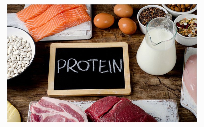 Mách bạn: Các thực phẩm giàu protein dễ tìm