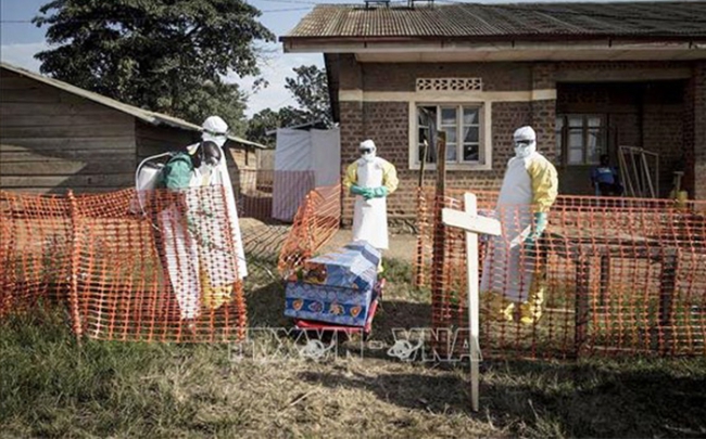 Congo: Dịch Ebola bùng phát, 803 người chết