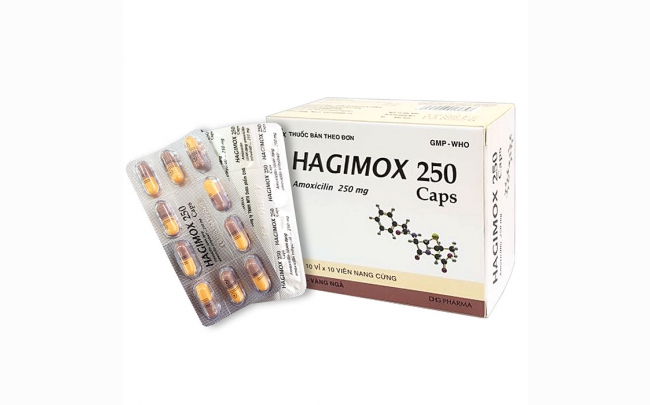 Hagimox 250 Caps: Chỉ định, chống chỉ định, cách dùng