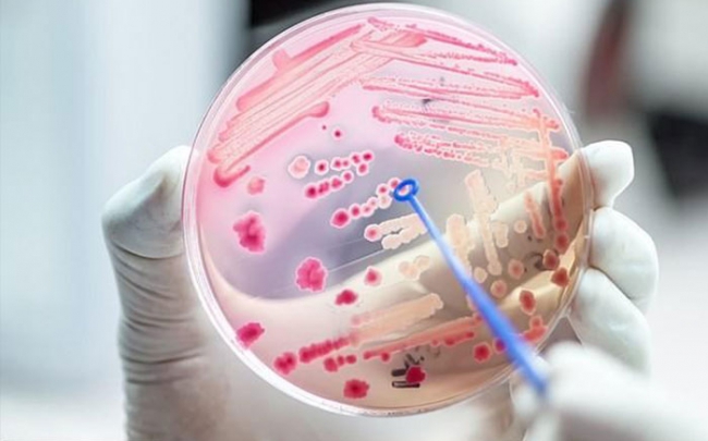 Mỹ sử dụng thể thực khuẩn để chống vi khuẩn kháng kháng sinh