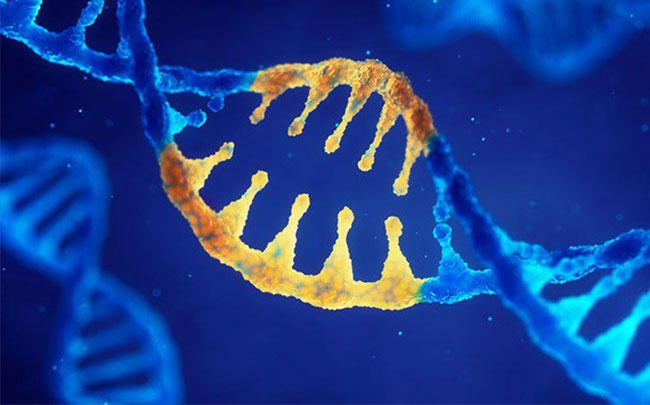 Nhật Bản có kế hoạch phân tích bộ gen đầy đủ trên 93.000 bệnh nhân