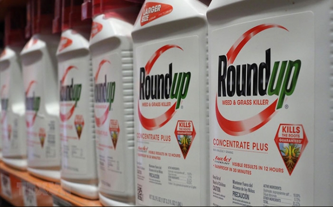 Nhiều bằng chứng khẳng định thuốc diệt cỏ của Monsanto gây ung thư