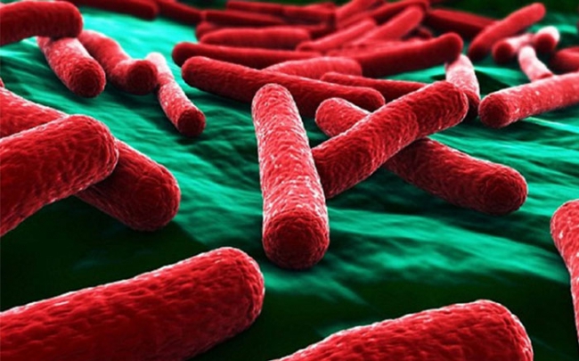 Nhiều loại vi khuẩn đã đề kháng trên 90% kháng sinh