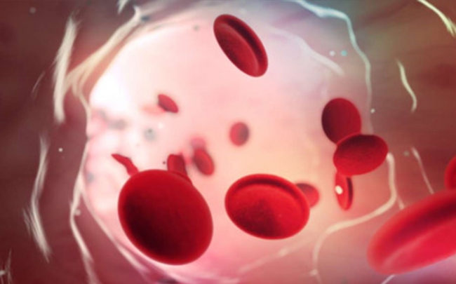 Nhóm máu O giúp cơ thể kháng virus sốt rét tốt nhất?