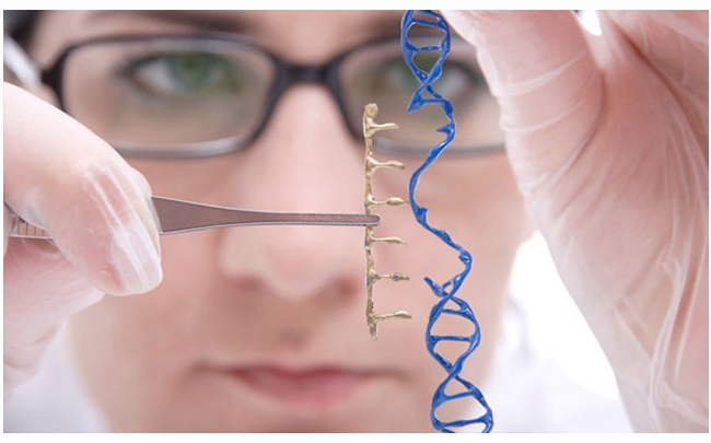 Thành công trong thử nghiệm CRISPR chống ung thư