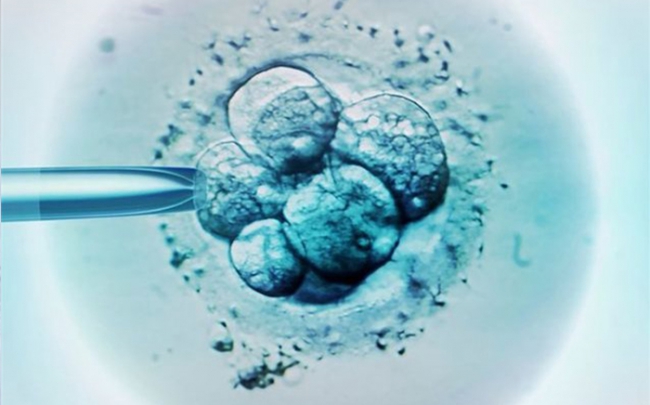 Trẻ sinh ra nhờ thụ tinh nhân tạo có nhiều khả năng mắc bệnh ung thư hơn?