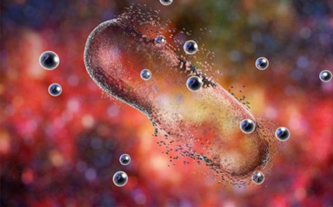 Vi khuẩn có thể “ngụy trang” để “né” kháng sinh
