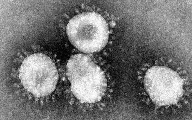 Virus gây bệnh viêm phổi lạ tại Trung Quốc lây từ người sang người