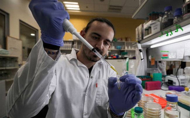WHO: Đang thử nghiệm hơn 20 loại vắc-xin khác nhau cho virus corona