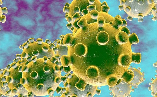 WHO: Virus mới gây bệnh viêm đường hô hấp cấp là SARS-CoV-2